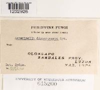 Image Associated With the Occurrence