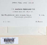 Image Associated With the Occurrence