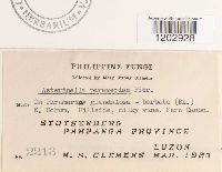 Image Associated With the Occurrence