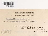 Image Associated With the Occurrence