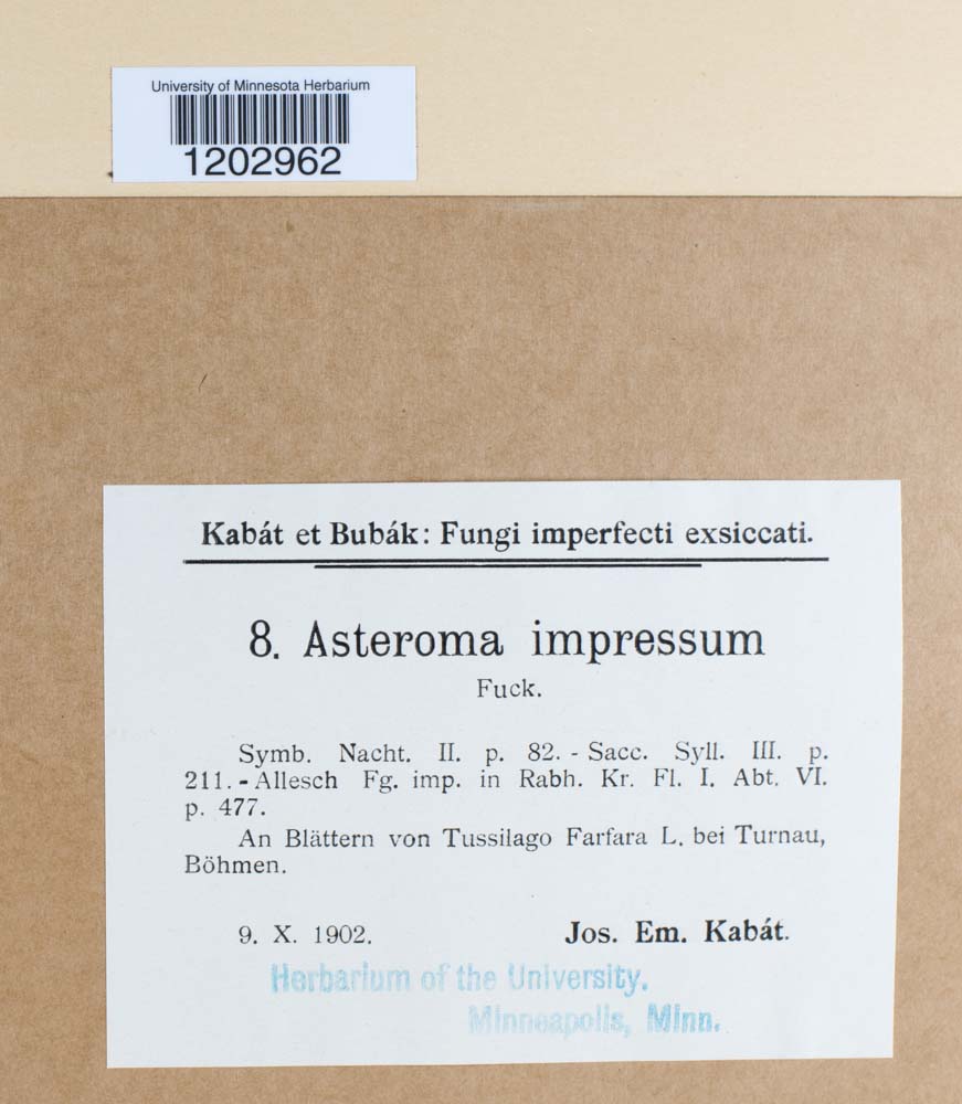 Asteroma impressum image