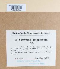 Image Associated With the Occurrence