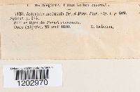 Image Associated With the Occurrence