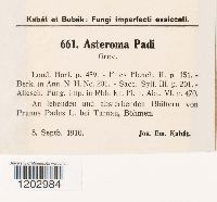 Image Associated With the Occurrence