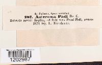 Image Associated With the Occurrence