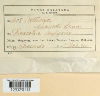 Image Associated With the Occurrence