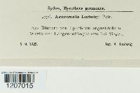 Image Associated With the Occurence