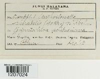 Image Associated With the Occurrence