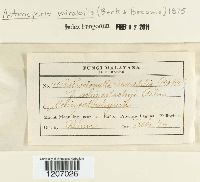 Image Associated With the Occurrence