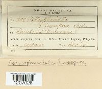 Image Associated With the Occurrence