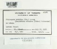 thumbnail image of current specimen