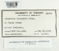 Image Associated With the Occurrence