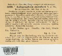 Image Associated With the Occurrence