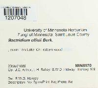 Image Associated With the Occurrence