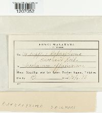 Image Associated With the Occurrence