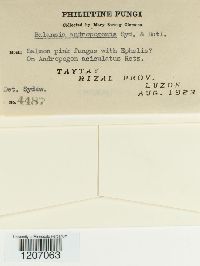 Image Associated With the Occurrence