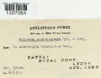 Image Associated With the Occurrence