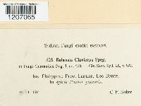 Image Associated With the Occurrence