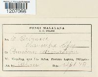 Image Associated With the Occurrence