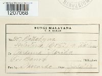 Image Associated With the Occurrence