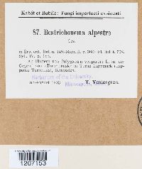 Image Associated With the Occurrence