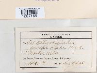 Image Associated With the Occurrence