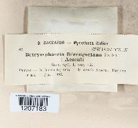 Image Associated With the Occurrence