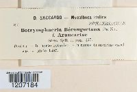 Image Associated With the Occurrence