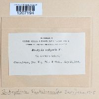 Image Associated With the Occurrence