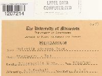 Media resource of Botrytis cinerea