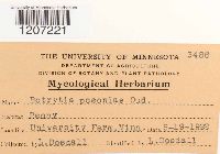 Botrytis paeoniae image