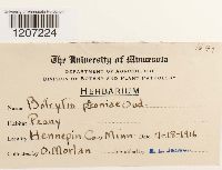 Botrytis paeoniae image