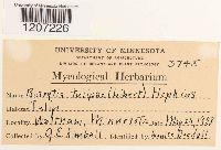 Media resource of Botrytis tulipae