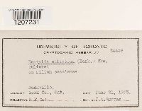 Image Associated With the Occurrence