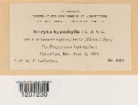 Image Associated With the Occurrence