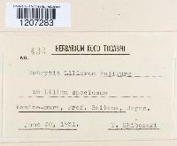 Image Associated With the Occurrence