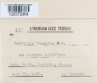 Image Associated With the Occurrence