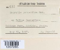 Image Associated With the Occurrence