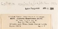Image Associated With the Occurrence