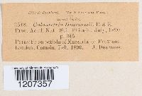 Image Associated With the Occurrence