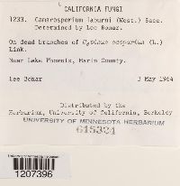 Image Associated With the Occurrence