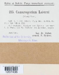 Image Associated With the Occurrence