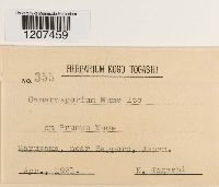 Image Associated With the Occurrence