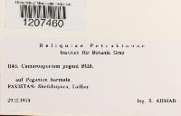 Image Associated With the Occurrence