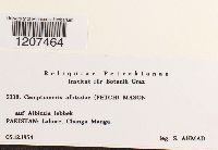 Image Associated With the Occurrence