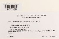 Image Associated With the Occurrence