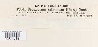 thumbnail image of current specimen