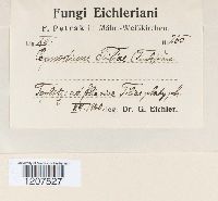 Image Associated With the Occurrence