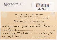 Image Associated With the Occurrence