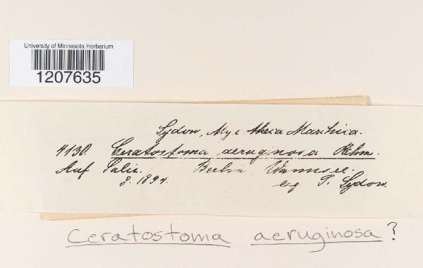 Ceratostomataceae image